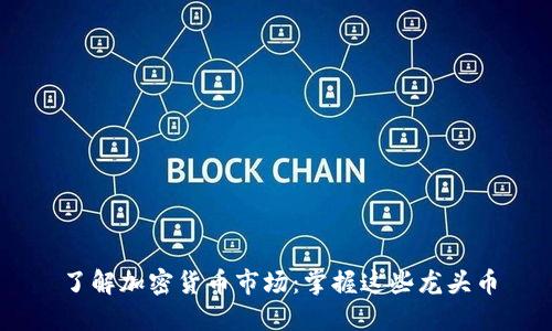 了解加密货币市场：掌握这些龙头币