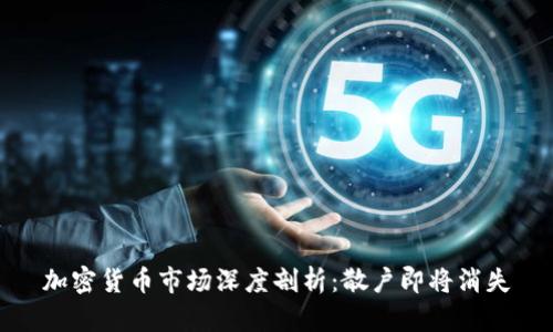 加密货币市场深度剖析：散户即将消失
