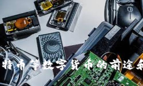 加密货币：比特币等数字货币的前途和可能的未来