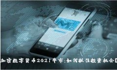 加密数字货币2021牛市：如何抓住投资机会？