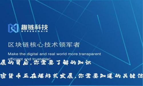 发展的背后，你需要了解的知识

加密货币正在爆炸式发展，你需要知道的关键信息