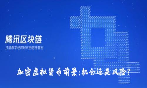 加密虚拟货币前景：机会还是风险?