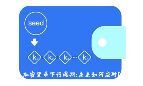 加密货币下行周期：未来如何应对？