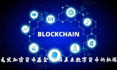 毛发加密货币基金：抓住未来数字货币的机遇