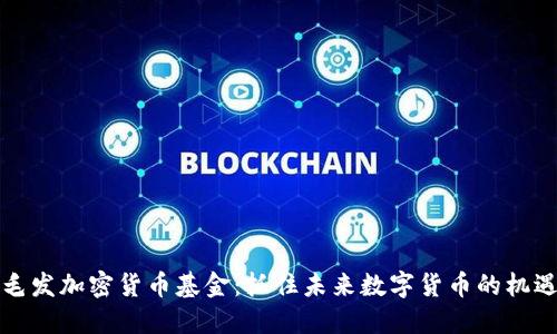 毛发加密货币基金：抓住未来数字货币的机遇