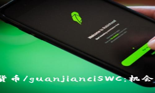 数字加密货币/guanjianciSWC：机会还是风险？