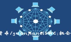 数字加密货币/guanjianciSWC：机会还是风险？
