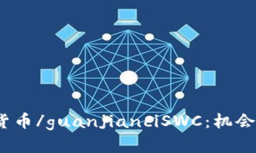 数字加密货币/guanjianciSWC：机会还是风险？