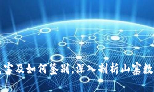 山寨数字货币的危害及如何鉴别，深入剖析山寨数字货币的加密技术