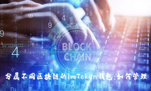 分属不同区块链的imToken钱包：如何管理