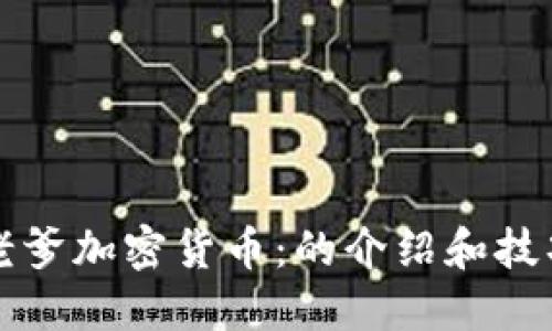 老爹加密货币：的介绍和技巧