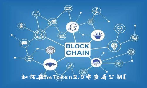 如何在imToken2.0中查看公钥？