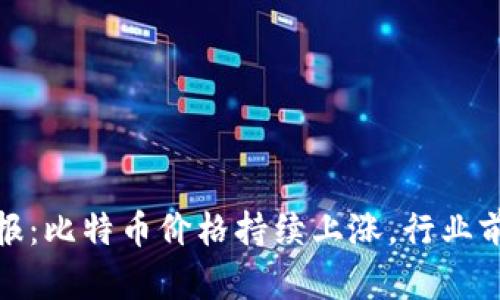 加密货币简报：比特币价格持续上涨，行业前景一片光明