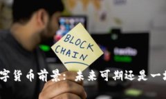 加密数字货币前景: 未来可期还是一场泡沫?