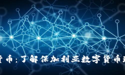 保加利亚数字加密货币：了解保加利亚数字货币现状及未来发展趋势