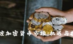 印度加密货币市场：机遇与挑战