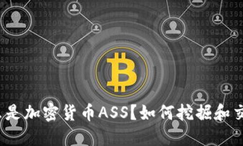 什么是加密货币ASS？如何挖掘和交易？