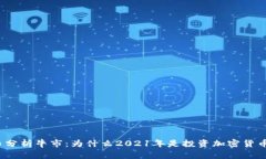 加密货币分析牛市：为什么2021年是投资加密货币