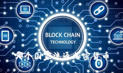 哪个国家流通加密货币