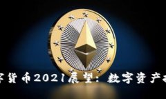 加密数字货币2021展望: 数字资产投资必看