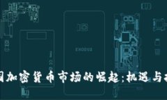 英国加密货币市场的崛起：机遇与挑战