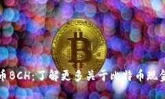 加密数字货币BCH：了解更多关于比特币现金的全