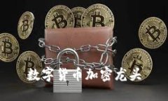 数字货币加密龙头