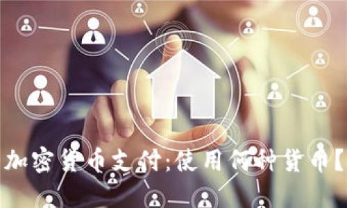 加密货币支付：使用何种货币？