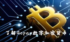 了解Gopay数字加密货币