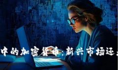 顶级高管眼中的加密货币：新兴市场还是未来趋