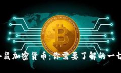 仓鼠加密货币：你需要了解的一切！