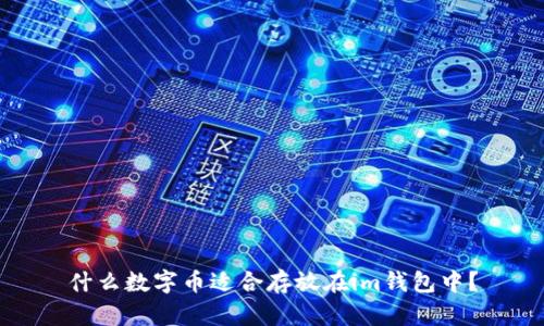 什么数字币适合存放在im钱包中？