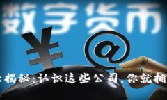  支持加密货币的公司大揭秘：认识这些公司，你