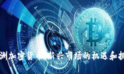 非洲加密货币:新兴市场的机遇和挑战
