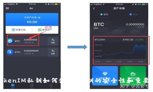 TokenIM私钥如何使用?私钥的安全性和重要性