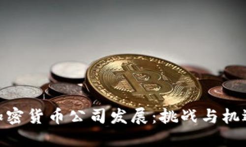 加密货币公司发展:挑战与机遇
