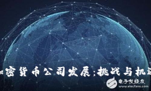 加密货币公司发展:挑战与机遇