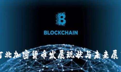 河北加密货币发展现状与未来展望