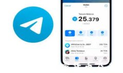 2023年中国主要加密货币及其市场分析