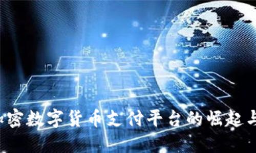 2023年加密数字货币支付平台的崛起与未来展望