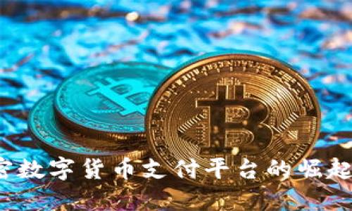 2023年加密数字货币支付平台的崛起与未来展望