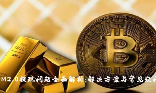IM2.0提现问题全面解析：解决方案与常见疑问