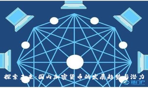 探索未来：国内加密货币的发展趋势与潜力