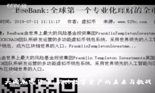 大同加密货币：新兴数字资产的未来与挑战