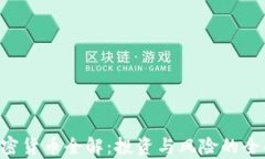 U币加密货币全解：投资与风险的全面分析