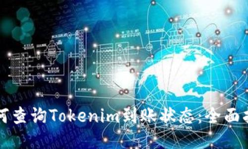 如何查询Tokenim到账状态：全面指南
