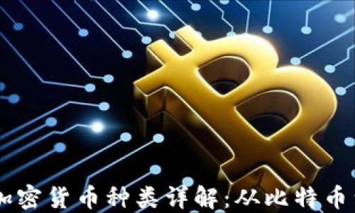 
货币式加密货币种类详解：从比特币到稳定币