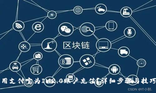 如何用支付宝为IM2.0账户充值？详细步骤与技巧分享