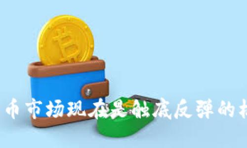加密货币市场现在是触底反弹的机会吗？