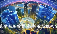 波兰金融加密货币：机遇与挑战分析